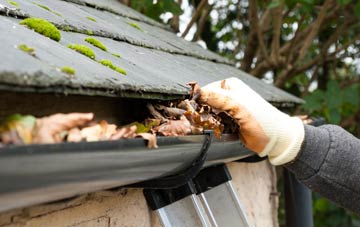gutter cleaning Holland