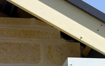 soffit repair Holland